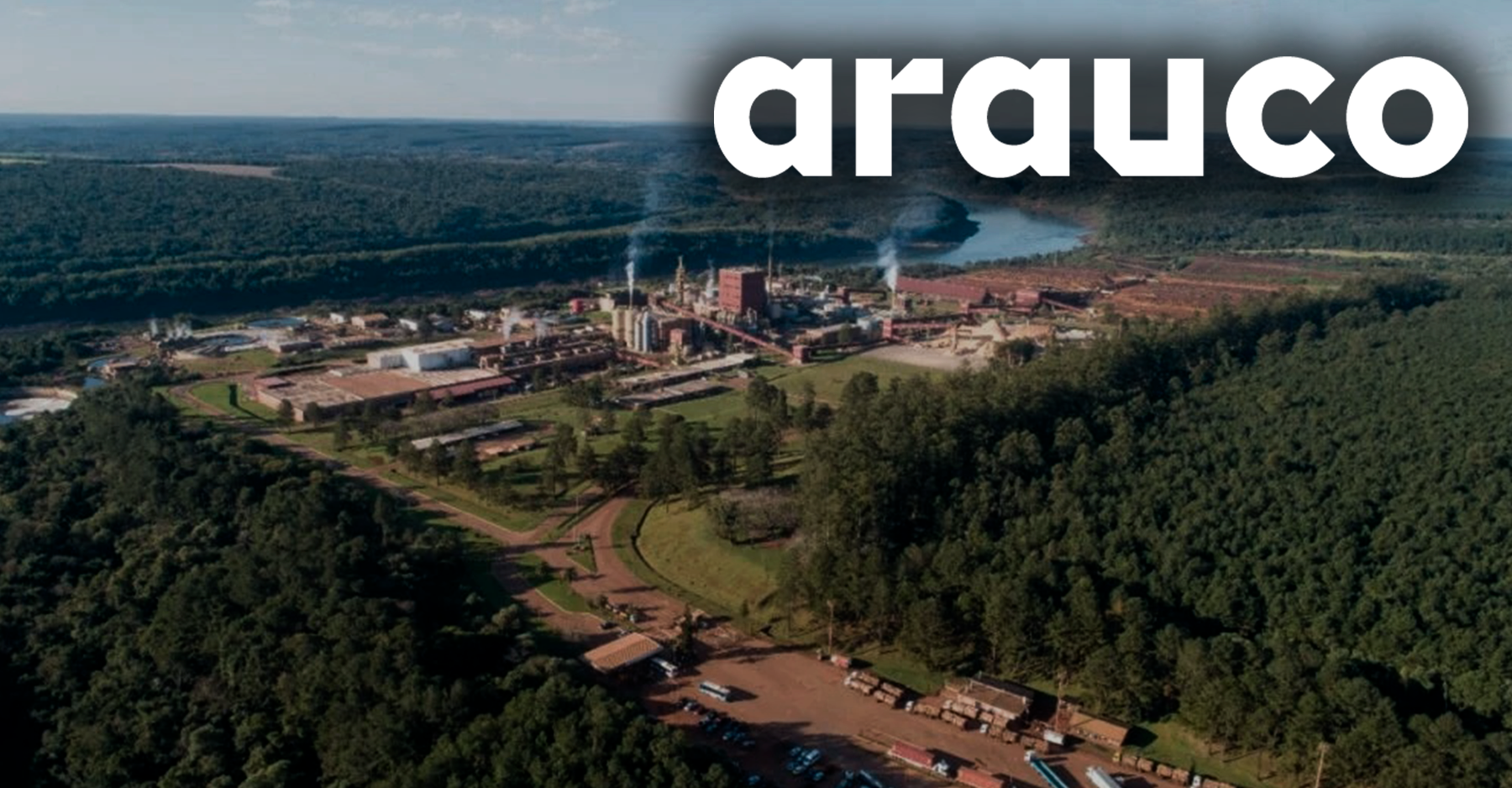 arauco_argentina
