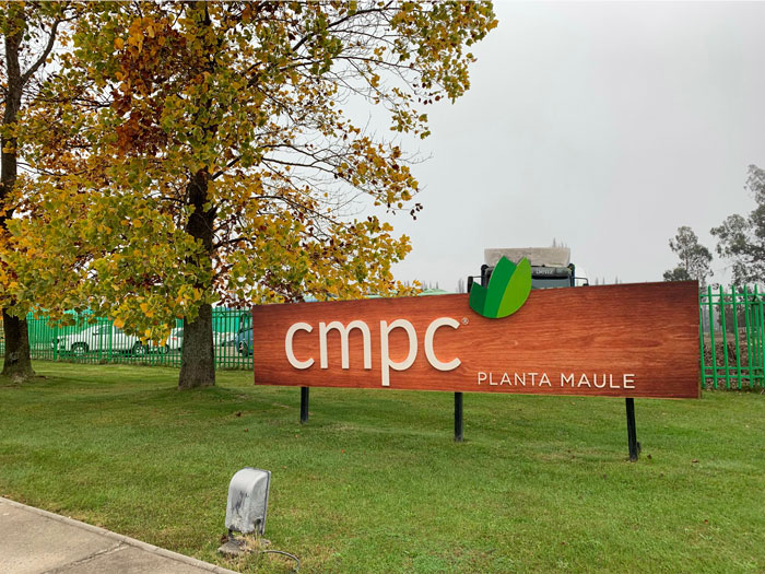planta-maule